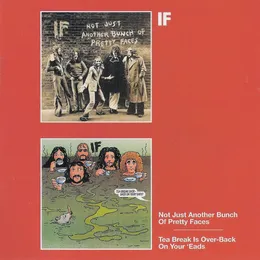 Not Just Another Bunch Of Pretty Faces / Tea Break Is Over-Back On Your Eads von If – Cover