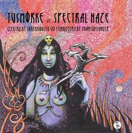 Elektriske skrekkøgler og forhistoriske framtidsfabler von Spectral Haze – Cover