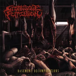 Basement Decompositions von Grotesque Formation – Album Cover