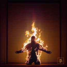 Burning Out von Virtual Riot – Album Cover