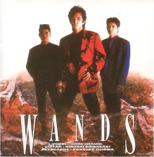 WANDS