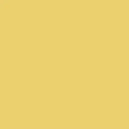 Electric Rated Gesture von |||||||||||||||||||| – Cover