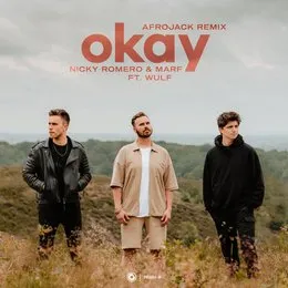 Okay (Afrojack remix) von Wulf – Album Cover