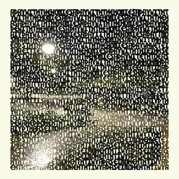 A Day With the Homies von Panda Bear – Cover