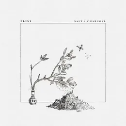 Salt + Charcoal von Plini – Album Cover