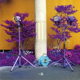 Ichida von 石橋英子 – Album Cover