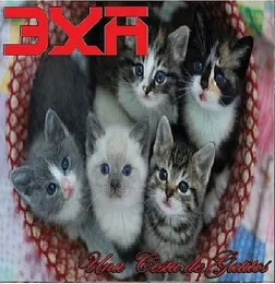 Una Cesta de Gatitios von 3XA – Album Cover