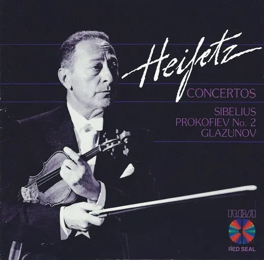 Violin Concerto in D minor, op. 47: I. Allegro moderato