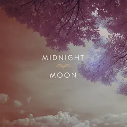 Midnight Moon von LeVirya – Cover