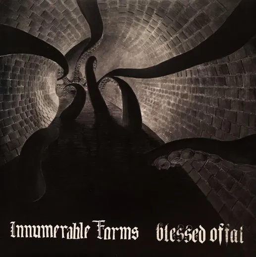 Innumerable Forms / Blessed Offal von Innumerable Forms – Album Cover