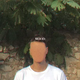 Mood von Ajar – Cover