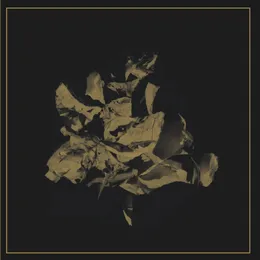 The Gentle Art of Chokin' & Weak Ties von Weak Ties – Cover