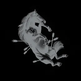 Dead Horse X von Touché Amoré – Album Cover