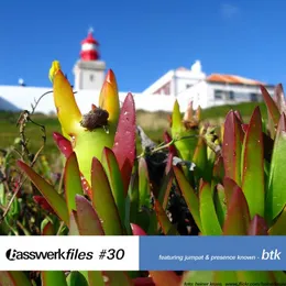 Basswerk Files #30 von BTK – Cover