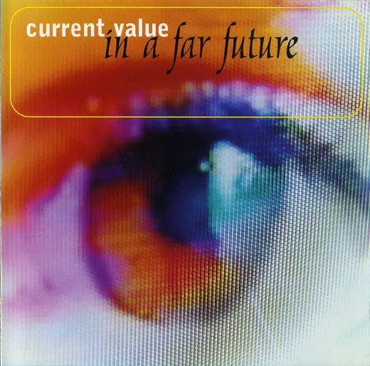 In a Far Future