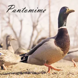 The Pantomime Demos von Pantomime – Cover