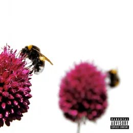 Bees von The Frst – Album Cover