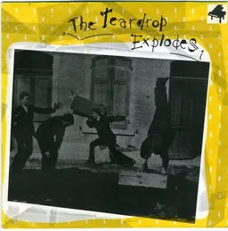 Bouncing Babies von The Teardrop Explodes – Cover
