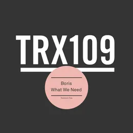 What We Need von DJ Boris – Cover