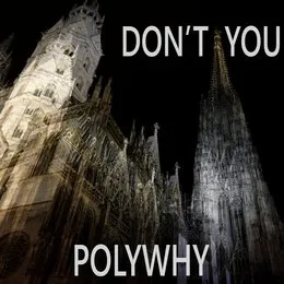 Don't You von Polywhy – Cover