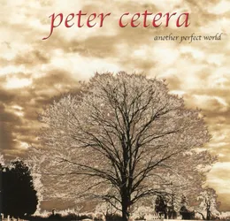 Another Perfect World von Peter Cetera – Album Cover