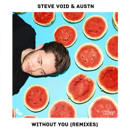 Without You (Remixes) von Steve Void – Cover