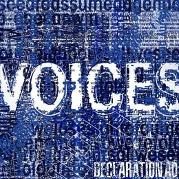 Voices von Declaration AD – Cover