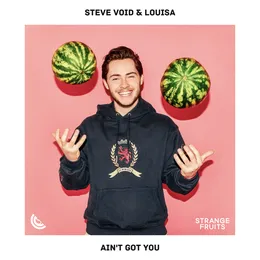 Ain’t Got You von Steve Void – Cover