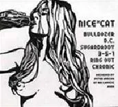 Nice*Cat
