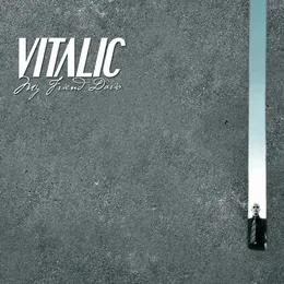 My Friend Dario von Vitalic – Album Cover