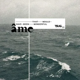 That Would Have Been Wonderful von Âme – Album Cover