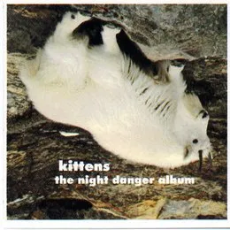 The Night Danger Album von Kittens – Cover