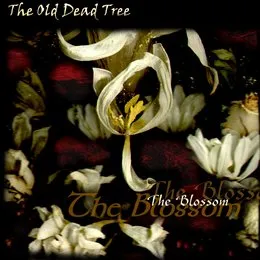 The Blossom von The Old Dead Tree – Cover