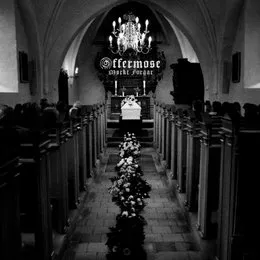 Mørkt Foraar von Offermose – Album Cover