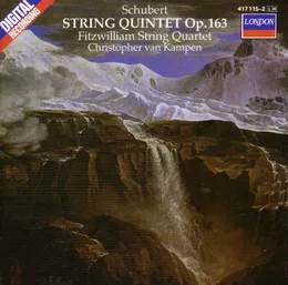 String Quintet, op. 163 von Christopher van Kampen – Album Cover
