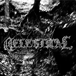Desolate North von Celestiial – Album Cover