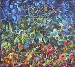 Moments of Wonder von Aegolius – Album Cover