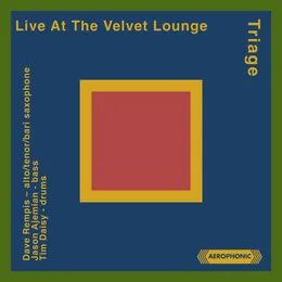 Live at the Velvet Lounge von Triage – Album Cover