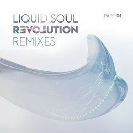 Revolution Remixes, Part 01 von Liquid Soul – Album Cover