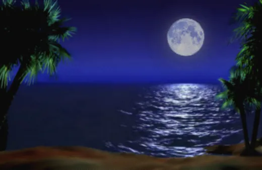 Deep Sea Dreams