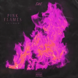 Pink Flames (Extended) von SLAE – Album Cover
