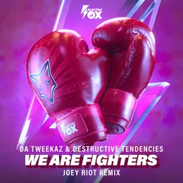We Are Fighters (Joey Riot Remix) von Destructive Tendencies – Cover