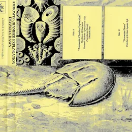 (s/t) Split von Devonian Dawn – Cover