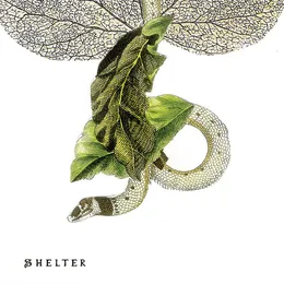 Shelter von Nate Wooley – Album Cover