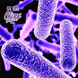 The Cure (Glide Remix) von Wake Up Hate – Album Cover