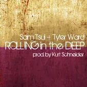 Rolling in the Deep von Tyler Ward – Album Cover