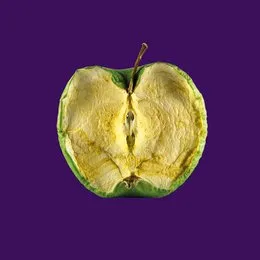 Waste von Zeal & Ardor – Album Cover