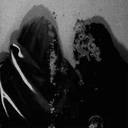 Luwte von Fluisteraars – Album Cover