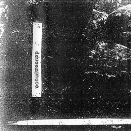 MXXVIII von Descompasso – Cover