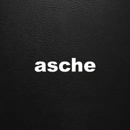 Distorted Disco von Asche – Album Cover